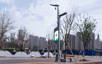 Stake(�й���)�ٷ���վ